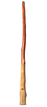 Tristan O'Meara Didgeridoo (TM349)